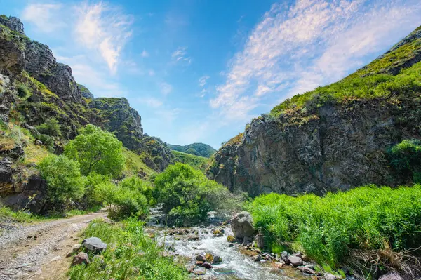 Kayalık bir kanyondan akan bir nehrin dinginliği. Dağların kalbinde nefes kesen doğal güzellikler olacak. Bu doğal harikanın görkemli manzarasının ve huzurunun tadını çıkarın..