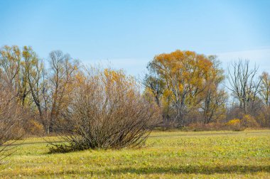 Sakin bir nehir yatağında sonbaharın güzelliğinin tadını çıkar. Suya yansıyan sarı ağaçların canlı renklerinin tadını çıkar. Rahatlatıcı bir yürüyüş yapın ve kendinizi doğanın mevsimsel değişimlerine daldırın..