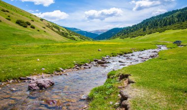 Dağlarda yaz. Dağlık arazide bir nehir. Yaz manzarası. Binlerce yorgun, sinirli, aşırı medeni insan, dağlara gitmenin eve gitmek demek olduğunu anlamaya başlıyor..