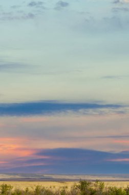 Çayır, düz, çöl. Bu kurak araziyi, kavurucu sıcaklığın ve kıt kaynakların ortasında yaşamın geliştiği kutsal bir güzellik kaplar. Çöl ekosisteminin dayanıklılığını keşfedin.