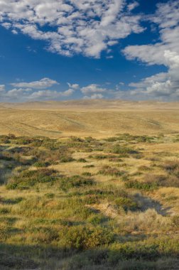 Steppe, Prairie, sade, pampa. Altın saat gökyüzünü zarifçe renklendiriyor, gün geceye dönerken sakin manzarada ılık bir parıltı bırakıyor. Günbatımı Doğa Tuvali Tarlaları