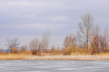 Doğada kıştan bahara geçişe tanık olun. Nehir boyunca yeni bir hayatın uyanışını tecrübe et. Ağaçların yapraksız çiçek açmasını izle. Geçen yılın çimenleri parlak sarı