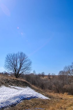 Gökyüzüne karşı siluetlenmiş ağaçların siluetlerinin arasından yeşil benekli sarı alanlar görünmeye başlıyor. Çıplak dallar öne doğru uzanıyor. Eriyen karın son kalıntıları..