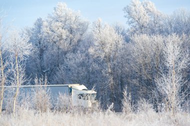 Karlı araziyi fethediyoruz! Bu güçlü kamyonlar kışın soğuğuna göğüs gererler, hiçbir mücadeleden geri durmazlar. Karlı Yol Maceraları Kamyon Gücü