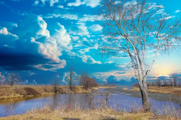 stock image Witness the spring awakening of the river with new life and energy. Feel the beauty of the trees coming back to life. Dropping bare branches. See last year's yellow grass fade, bright spring colors