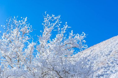 Dağlar. Kış. Güzel dağlara ve güzel kış manzaralarına bakmaktan daha romantik bir şey yoktur! Bu muhteşem manzaralar nefes kesici bir kar tabakasıyla kaplıdır..