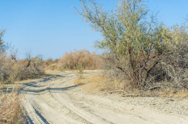 Resimli toprak bir yoldaki sonbahar manzarasının tadını çıkar. Kendini bozkırın ve bozkırın sükunetine bırak. İnsanoğlu ve doğa arasındaki ahenkli ilişkiye tanık olun..