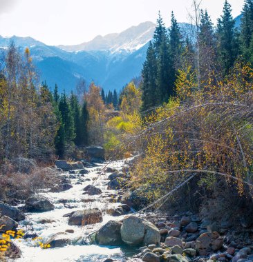 Tien Shan Dağları 'nın etkileyici güzelliğinin tadını çıkar. Doğal manzaralar arasında nefes kesen ladin ve huş ağacı panoramaları. Canlandırıcı manzaralar ve huzurlu çevrelerle ruhunu canlandır..