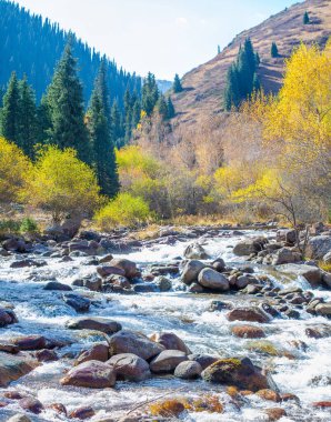 Tien Shan dağlarının ve sık ormanların güzelliğinin tadını çıkar. Sizi dehşete düşürecek nefes kesici bir manzara. Doğa Elevatio 'nun sunduğu çarpıcı manzaralarla ruhunu tazele..