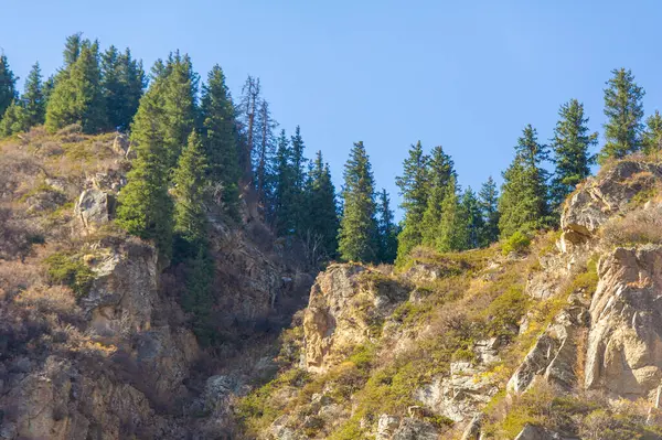Tien Shan Dağları 'nın çarpıcı sonbahar renklerini tecrübe edin. Kendinizi doğanın nefes kesici güzelliğine daldırın. Doğa aşıkları için ideal bir tatil yeri..