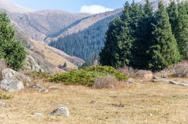 Sonbaharın görkemli zirvelerdeki güzelliğini hisset. Kendinizi sıcak altın renklere ve yemyeşil ormanlara daldırın. Doğanın çarpıcı renk oyununda ilham bul. Sonbaharın özünü yakala.