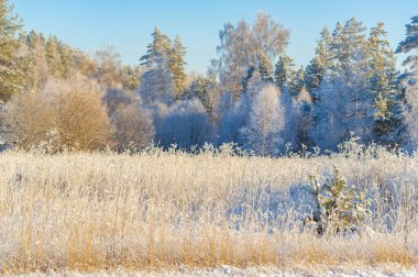 Karla kaplı bir tarlanın büyüsünü hissedin. Bırak parlak mavi gökyüzü seni sonsuz maceralara götürsün. Kendini doğanın büyüleyici kollarına bırak..