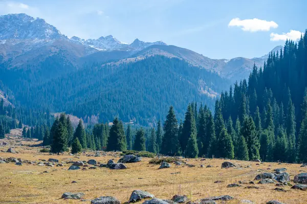 Kendini Tien Shan dağlarının dinginliğine bırak. Sonbahar yeşilliğinin ve canlı renklerin cazibesini hissedin. Bereketli yeşil çam ağaçlarının arasında sakin bir gezinti yap. Huzurun tadını çıkar.