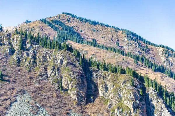 Sonbahar Tien Shan dağlarının muhteşem yaratılışının tadını çıkarın. Kendinizi canlı yeşilliklere ve resimsel manzaraya daldırın. Doğa severler ve fotoğraf meraklıları için ideal bir yer..