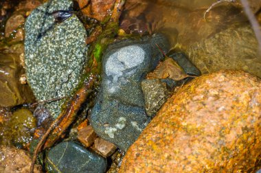 Dokunulmamış vahşi doğanın kalbine gidin ve bu dağ deresinde suyun ritmik dansını keşfedin. Her taşın karmaşık detaylarına ve parıldayan ışık oyununa hayran kal.