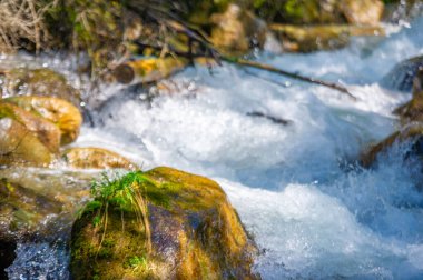 Doğa Senfonisi ile doğanın güzelliğini tecrübe edin. Kendinizi bir dağ deresinin büyüleyici melodisine daldırın. Doğa senfonisi ile serenat yap..