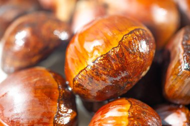 Modern tasarım, sonbahar ve rahat atmosfer aşıkları için ev dekoruna biraz sonbahar dokunuşu katmak için idealdir.