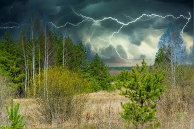 Ormandaki baharın güzelliğini hisset. Uyandıran doğanın sakinliğinin tadını çıkar. Başının üstündeki kasvetli gökyüzünün gücünü ve gizemini hisset..