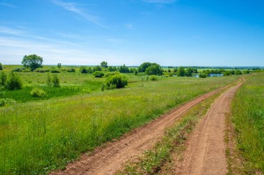 Yaz manzarası, kara topraktan toprak yol, mavi bulutsuz gökyüzü, yeşil buğday, Avrupa 'da bir yürüyüş.