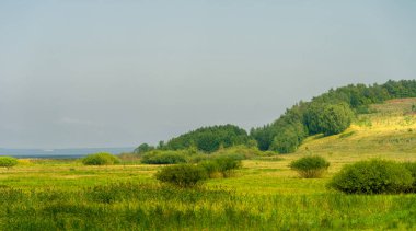 Yaz fotoğrafı. Nehir kıyısı, nehir ya da göl boyunca ya da aşağısı.