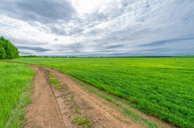 İlkbahar fotoğrafçılığı, kırsal alan, genç buğday tarlalarının arasından geçen toprak yol, bir yerden diğerine uzanan geniş bir yol, özellikle araçların kullanabileceği özel hazırlanmış bir yüzeye sahip olan bir yol.