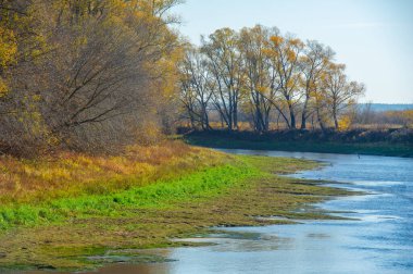 Mevsim değişimi nehre yeni bir perspektif getiriyor. Sığ sular gizli hazineleri ortaya çıkarır. Nehrin derinliklerine yansıyan sonbaharın güzelliğinin tadını çıkar..