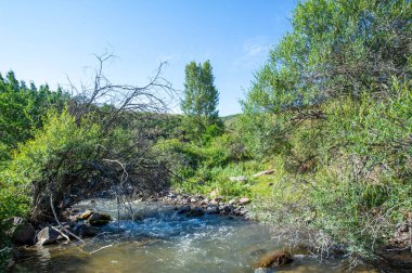 Kendini bir dağ nehrinin dingin güzelliğine daldır. Sularından akan antik büyüyü keşfedin. Doğanın güzelliğinin fısıltıları seni canlandırsın ve canlandırsın..