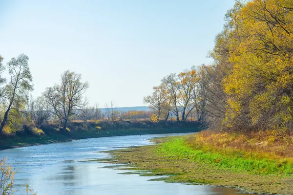 Sonbaharda sel ovasındaki doğanın güzelliğinin tadını çıkar. Ağaçların çarpıcı sarı çiçeklerinin tadını çıkar. Rahatlatıcı bir yürüyüş yap ya da renkli manzarada bir yürüyüş yap..