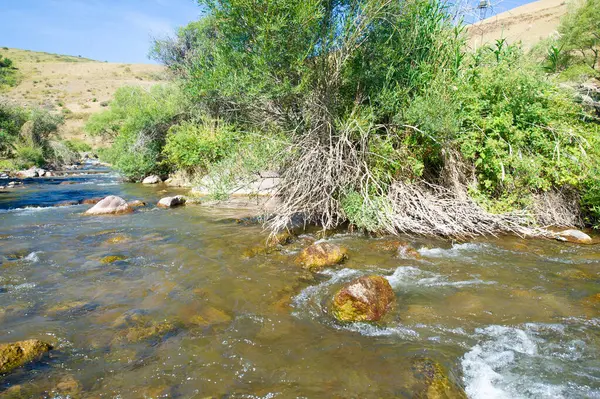 Dağ nehrinin büyüleyici güzelliğinin tadını çıkar. Akan suyun taşıdığı antik sihrin fısıltılarını dinle. Doğanın sonsuz güzelliğini en saf haliyle yakala..