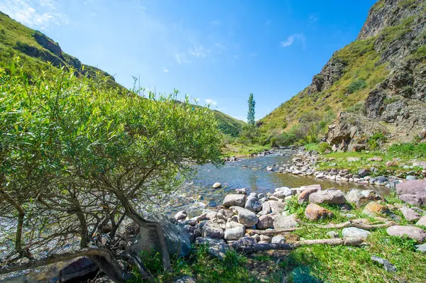 Sakin bir nehir heybetli kayalık bir kanyondan akıyor. Dağların kalbini keşfederken doğanın güzelliği. Bu doğal harikanın etkileyici gücünü ve sükunetini hisset..