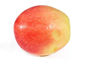 Kandil elmalarının sulu ve vitamin zengini meyveli eşsiz bir çeşidi. Bahçende kandil elması yetiştir. Lezzetli ve sağlıklı bir atıştırmalık için olgun meyveler topla. Bir bahçe yolculuğunun parçası