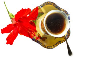 Zarif bir Çin porselen bardağında bir fincan kahvenin tadını çıkar. İçkini yudumlarken amber çiçeğinin güzelliğine hayran ol..