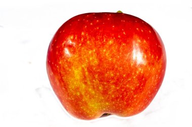 Beyaz arka planda kıtır kıtır ve sulu kırmızı elma. Sağlıklı bir yaşam tarzı için gerekli vitaminler açısından zengin. Taze ve olgun. Atıştırmak ya da yemek pişirmek için ideal. Güne tat katmak için mükemmel..