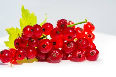 Sığ alan derinliği ile güzel bokeh etkisi kırmızı kuş üzümlerinin sersemletici yakın çekim görüntüleri odak noktasındaki kırmızı frenk üzümlerinin karmaşık detaylarını nasıl yakalayacağını gösterir