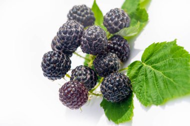 Siyah ahududu ve böğürtlen iyi bir vitamin kaynağıdır. Bu gruptaki sulu ve olgun böğürtlenler abur cubur yemek veya tabağa eklemek için idealdir. Vejetaryenler için uygun.