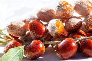 Genellikle göl ya da Rus zeytini olarak bilinir. Meyveler temel besin ve antioksidan açısından zengindir. Geleneksel tıpta çeşitli sağlık faydaları için kullanılır. Bal eşsiz tadı için değerlidir..