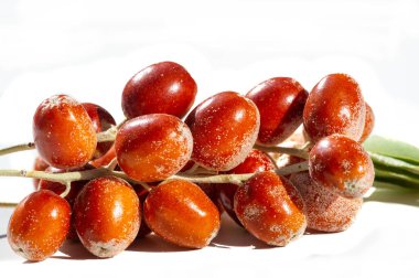 El agnus ngustifli geleneksel tıpta sıklıkla kullanılan meyve veren bir bitkidir. Onbir Angustifolia meyveleri tıbbi yöntemleriyle temsil edilir. Bu bitki aynı zamanda kilit bal üreticisi..