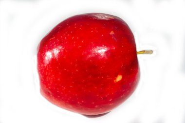 Rahatlatıcı bir atıştırmalık olarak elmanın parlak ve sulu tadını çıkar. Bu harika meyveyle günlük vitamin dozunu al. Sağlıklı yaşam tarzı kavramı tazeleniyor.