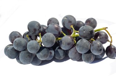 Beyaz arka planda siyah üzümler görsel olarak çekici bir zıtlık yaratır. Sulu şarap üzümleri lezzetli şaraplar yapmak için idealdir. Beyaz arka plan siyah üzümün canlı rengini ön plana çıkarır.