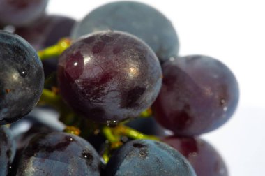 Beyaz arka planda siyah üzümlerin özünü yakalar. Görsel olarak çekici bir tasarım isteyen şarap severler için idealdir. Herhangi bir proje veya ürünü süsleyecek zengin ve parlak görüntüler