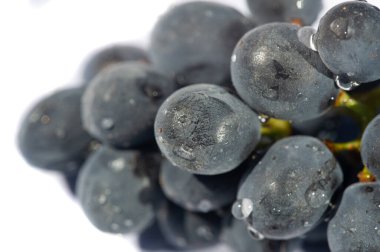 Üzüm, şarap yapımında anahtar bir bileşendir. Siyah üzümler kalın ve zengin lezzetleriyle bilinir. Beyaz arka planda siyah üzümlerin karşıtlığı zarif ve görsel olarak çekici bir görüntü yaratır..