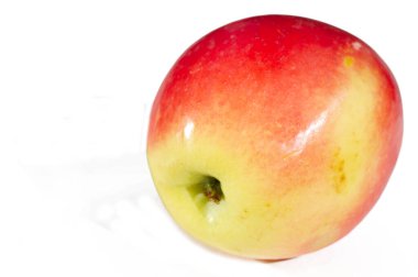 Kandil elma çeşidi, sulu ve aromatik tadı ile bilinir. Mükemmel bir vitamin ve besin kaynağı. Bahçecilik ve hasat için ideal..