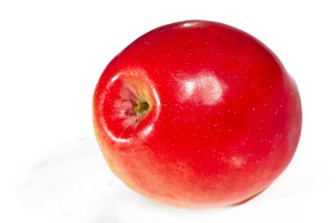 Kandil Sinap sulu ve vitamin zengini bir elma çeşididir. Çeşitli iklimlerde iyi büyüdükçe bahçıvanlık için idealdir. Tatlı ve aromatik lezzetin tadını çıkarmak için olgunlaştığında hasat et..