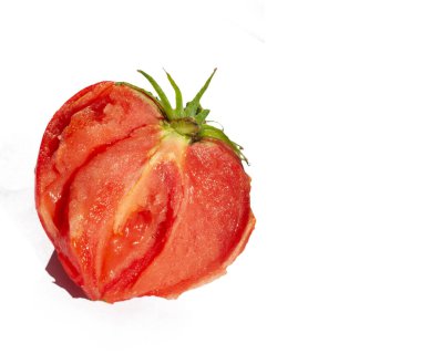 Vitamin ve besinlerle doldurulmuş taze domatesler. Bahçende sulu domatesler yetiştir. Cömert bir hasatın memnuniyetini yaşayın. Çiftçilik ve bahçıvanlık tekniklerini öğren.