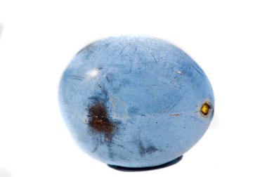 Renk şeması mor aksanlı erik ve beyazı içeriyor. Sağlık ve enerjiyi teşvik etmek için yaratıldı. Temiz ve modern bir estetik, refah odaklı..