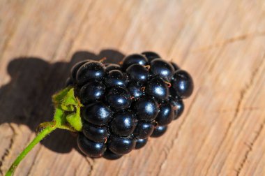 Siyah ahududu ve böğürtlen vitamin ve antioksidan açısından zengindir. Sulu ve olgun böğürtlenler atıştırmak ya da yemek tariflerine eklemek için idealdir. Vejetaryenler için mükemmel bir besin kaynağı..