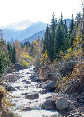 Tien Shan Dağları 'nın görkemli güzelliğini tecrübe edin. Yeşil ladin ve huş ağaçlarının ahenkli birleşiminden büyülenip büyüleneceksiniz..