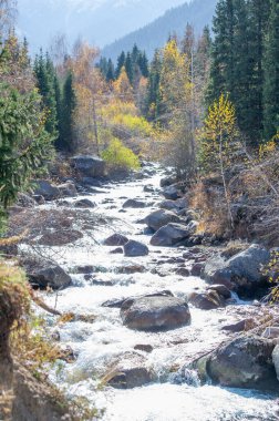 Kendinizi doğanın huzurlu güzelliğine daldırın. Sonbaharın parlak renklerinin tadını çıkar. Muhteşem Tien Shan dağlarının arasına kurulmuş görkemli bir ormandan akan sakin bir nehir..
