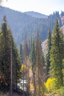 Tien Shan dağlarındaki sonbaharın çarpıcı güzelliğinin tadını çıkar. Çevreyi renklendiren yaprakların canlı renklerine daldırılmalı. Doğa aşıkları için ideal bir tatil yeri..
