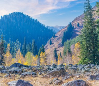 Sonbaharda Tien Shan 'ın büyüleyici güzelliğinin tadını çıkar. Kendinizi canlı yapraklara ve yeşil çam ağaçlarına daldırın. Nefes kesici manzaranın ve huzurlu bir atmosferin tadını çıkar..